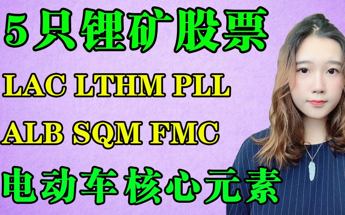 特斯拉分析 | 锂电池股票暴涨,LAC LTHM PLL ALB SQM FMC 值得投资五只锂矿股票,行业分析,锂矿为什么决定了电动车的未来发展哔哩哔哩bilibili