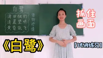 Tải video: 教师面试 | 小学语文《白鹭》十分钟试讲or片段教学