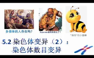 下载视频: 【一本正经讲生物】5.2染色体变异（2）：染色体数目变异