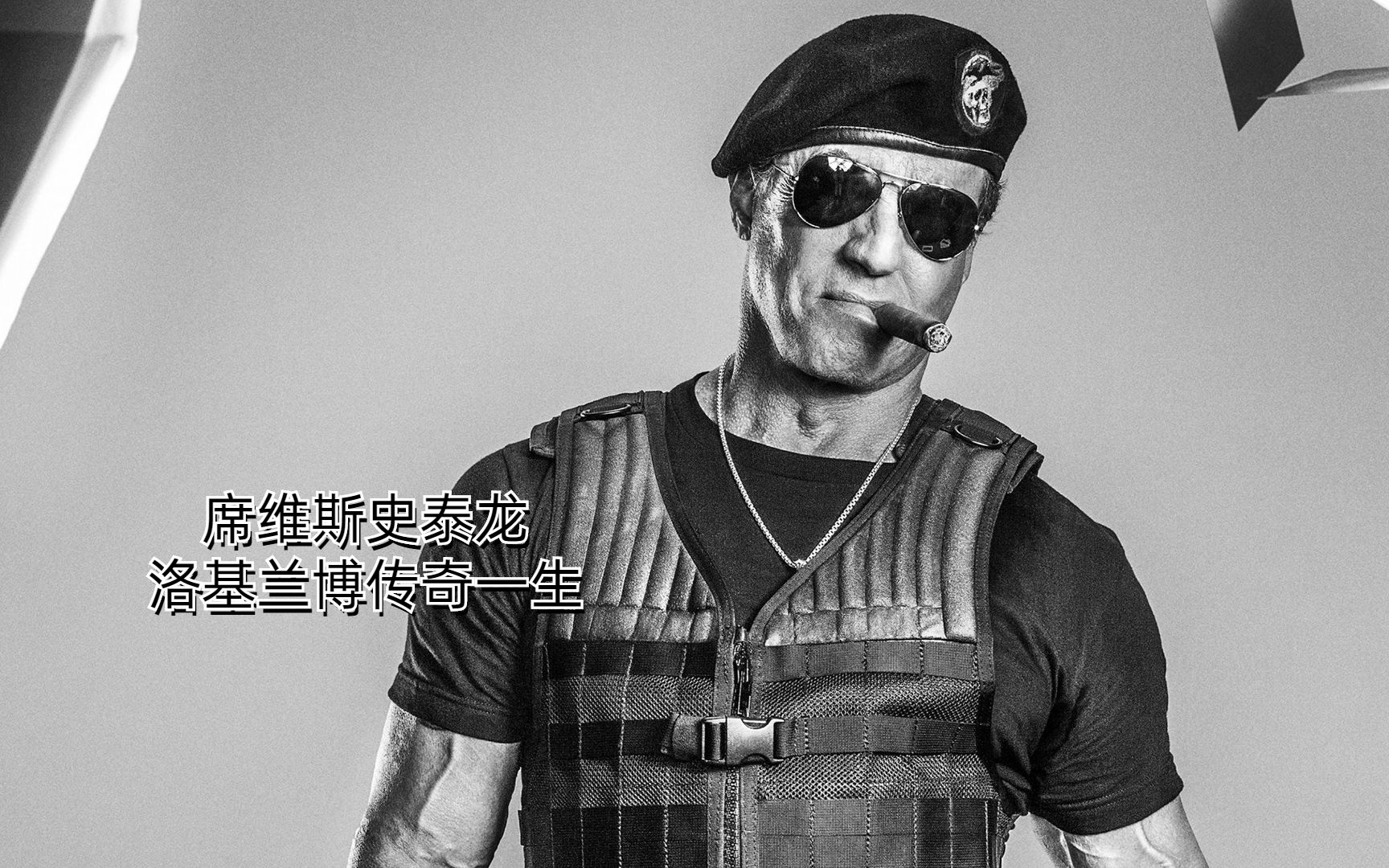 席维斯史泰龙 洛基兰博传奇的一生