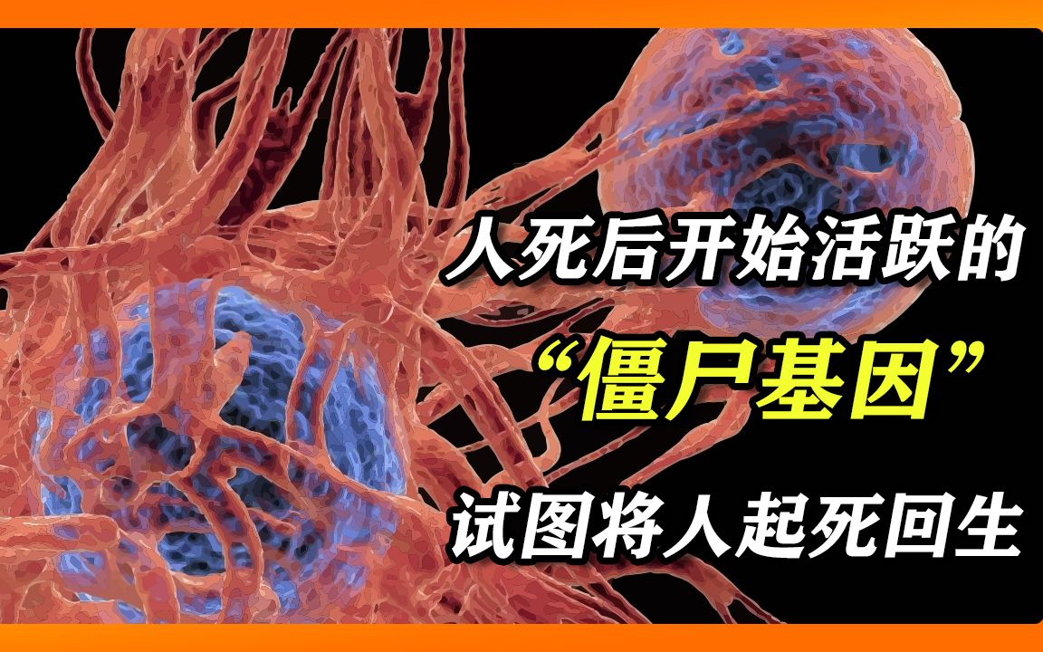 [图]人体内发现“僵尸基因”，人死后数小时异常活跃，试图将主人复活