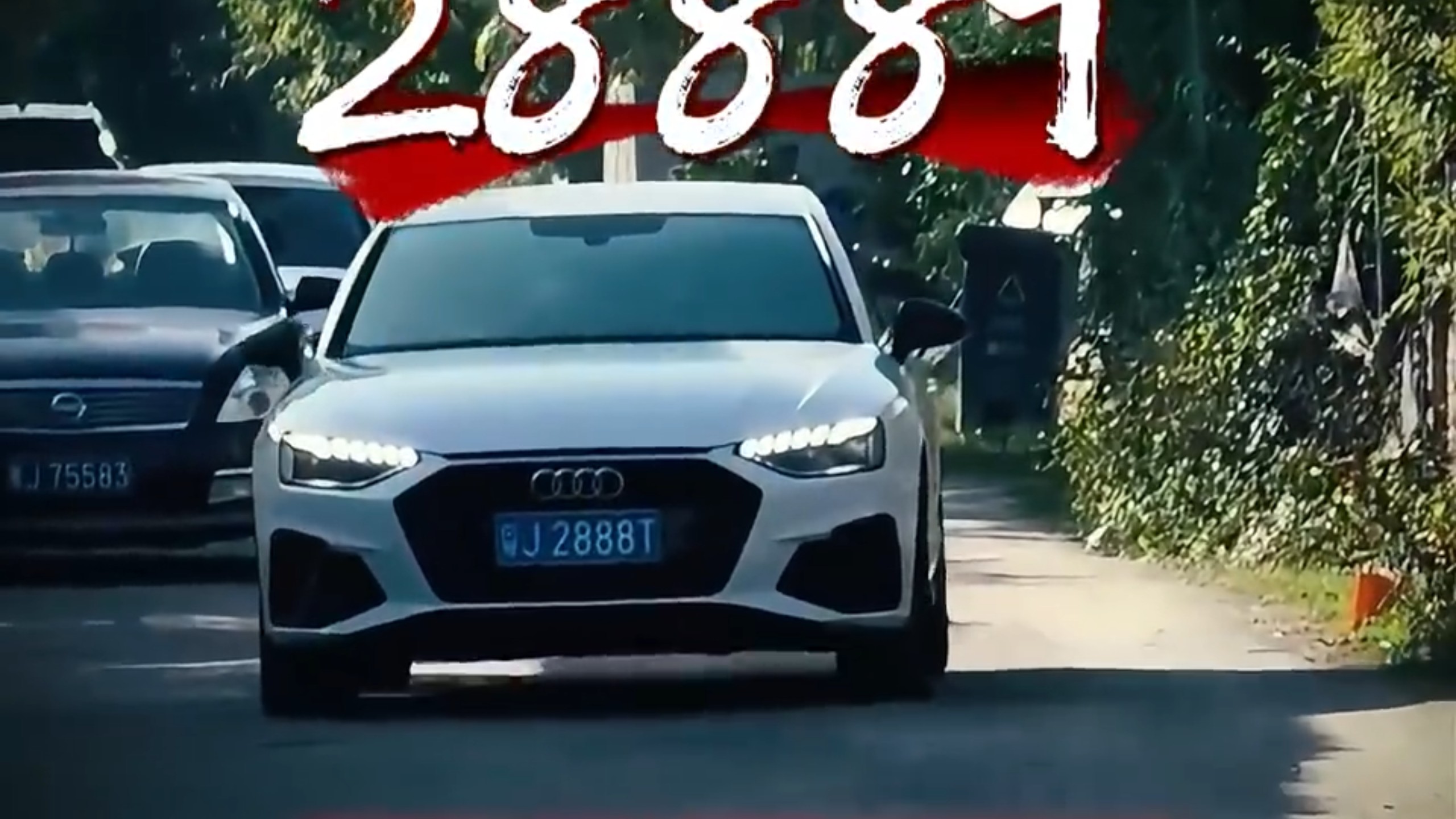 粤J2888T战绩全网可查