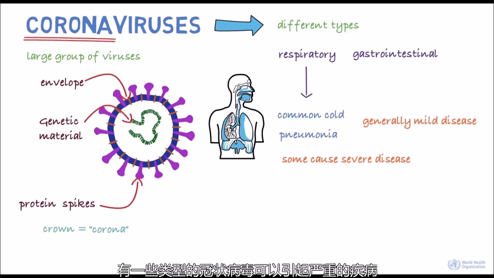 世界卫生组织 Novel Coronavirus(2019nCoV) 新型冠状病毒哔哩哔哩bilibili