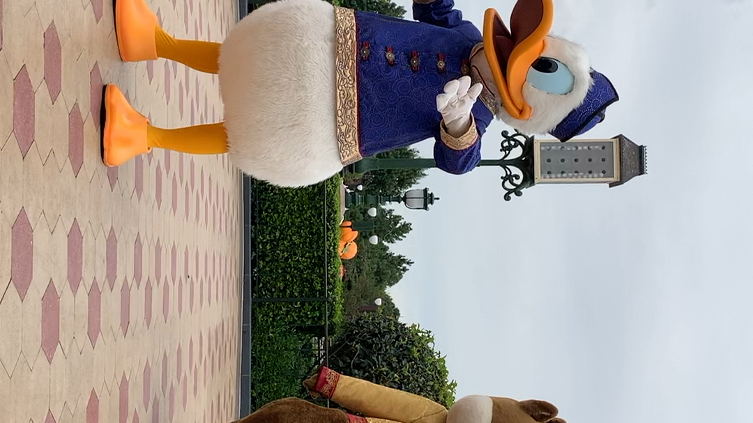 活动作品上海迪士尼全世界最可爱的唐纳德唐氏太极奇奇蒂蒂太可爱