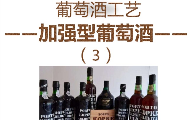 葡萄酒工艺加强型葡萄酒3哔哩哔哩bilibili