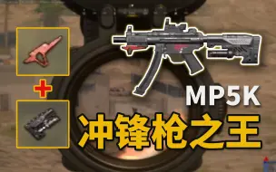 下载视频: 【MP5K+红握+重型】带这两个配件简直无敌了！！！