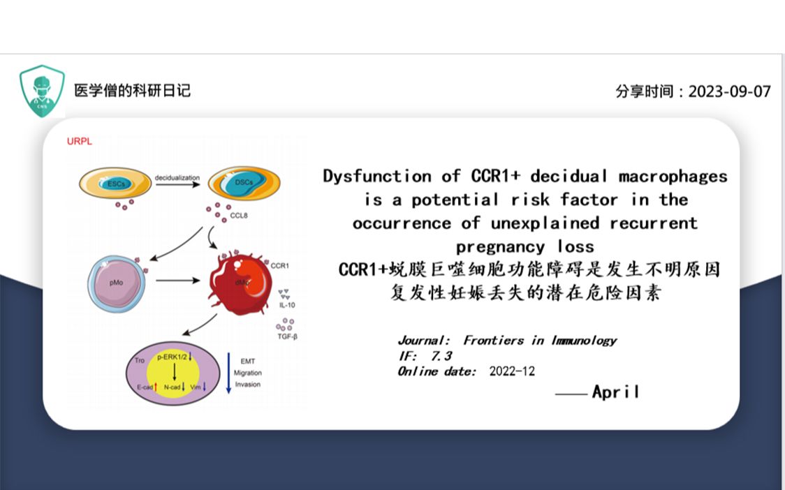 CCR1+蜕膜巨噬细胞功能障碍是发生不明原因复发性妊娠丢失的潜在危险因素哔哩哔哩bilibili