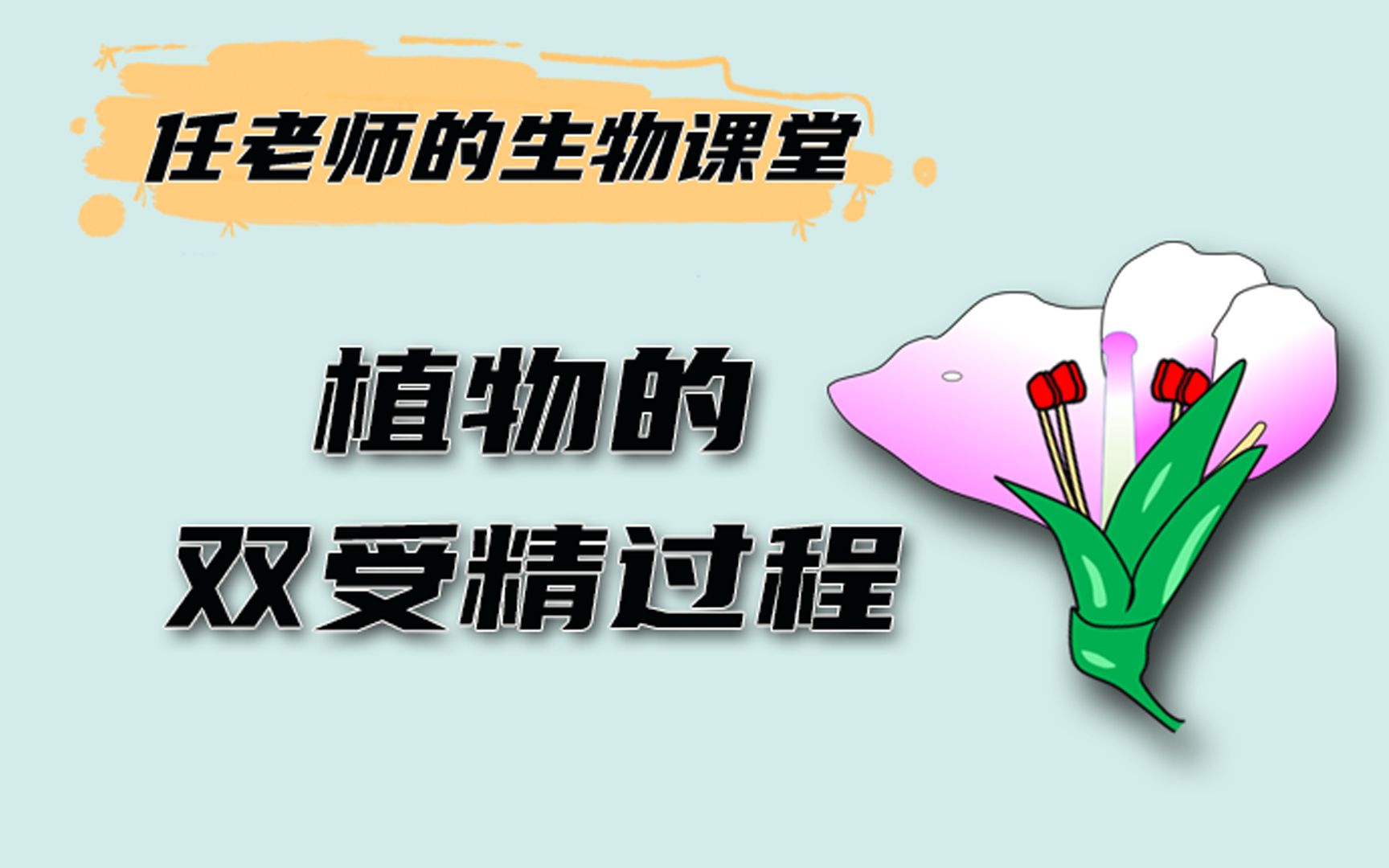 【高中生物】植物的双受精过程哔哩哔哩bilibili