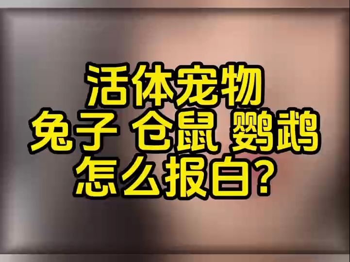 抖音宠物活体小店入驻页面,抖音活体宠物兔子、仓鼠、鹦鹉类目怎么报白?哔哩哔哩bilibili