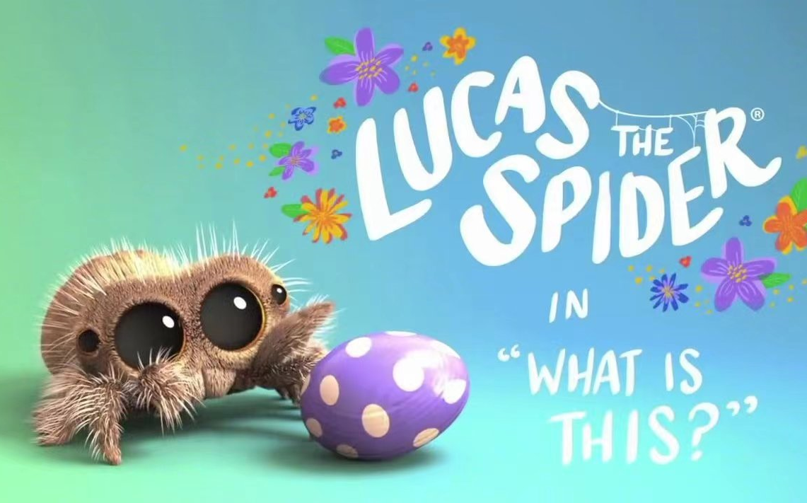 【48集全】世界上最可爱的蜘蛛《小蜘蛛卢卡斯》Lucas the Spider 治愈系动画哔哩哔哩bilibili