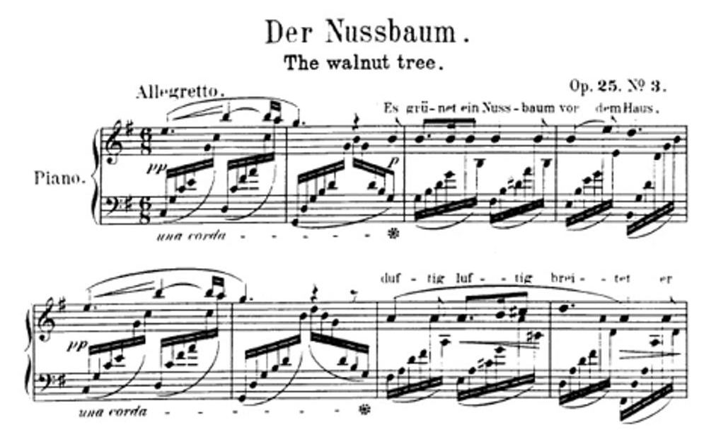 【钢琴】舒曼  胡桃树 Op.25 No.3(选自《桃金娘》)Robert Schumann  Der Nussbaum, Op.25/3哔哩哔哩bilibili