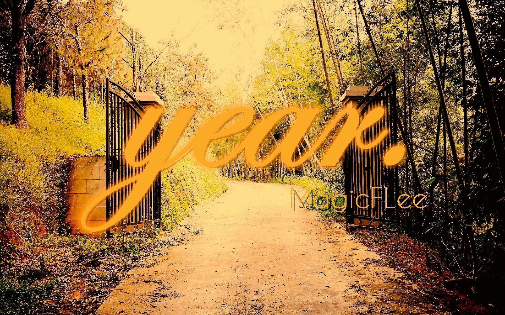 【flstudio】论如何用音乐可视化软件编辑字幕 - year.