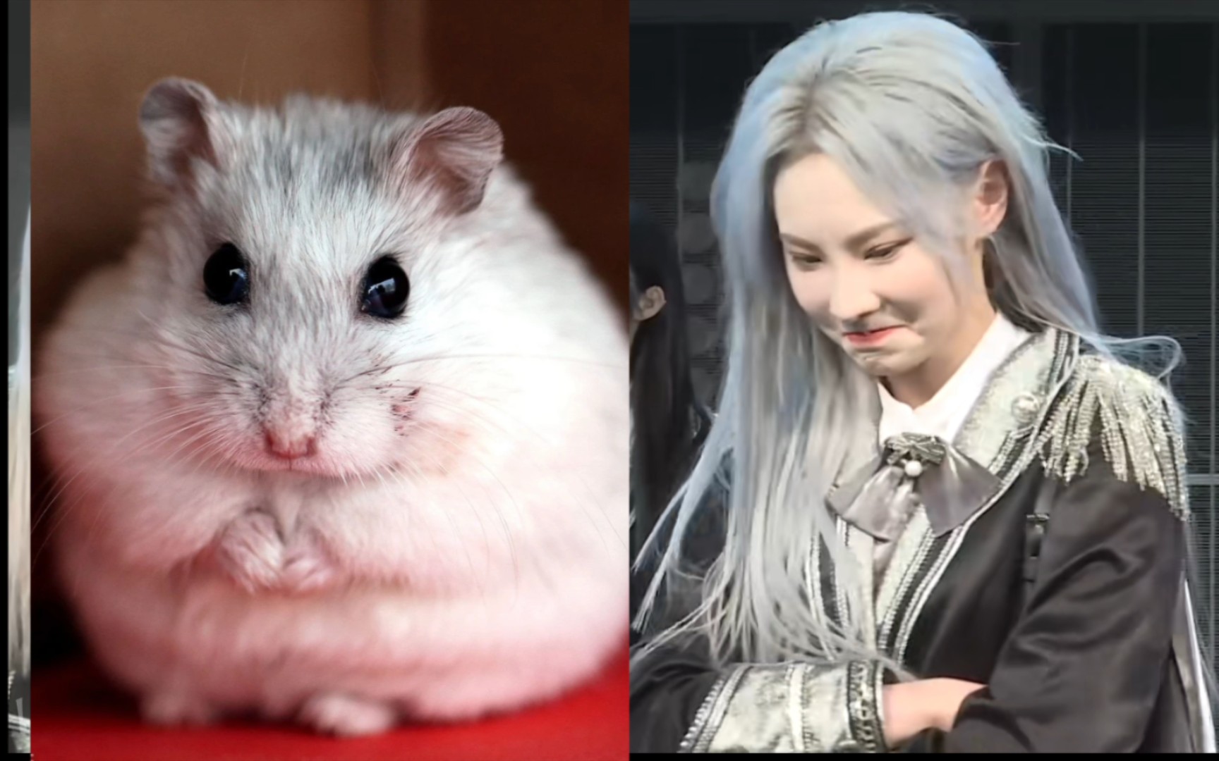 【snh48】艾斯兔公演上的那些弹幕4.