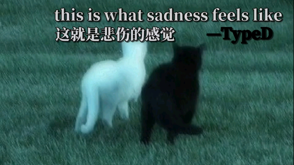 「Playlist」如此悲伤的感觉。this is what sadness feels like  —TypeD