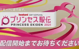 プリンセス編 搜索结果 哔哩哔哩 Bilibili