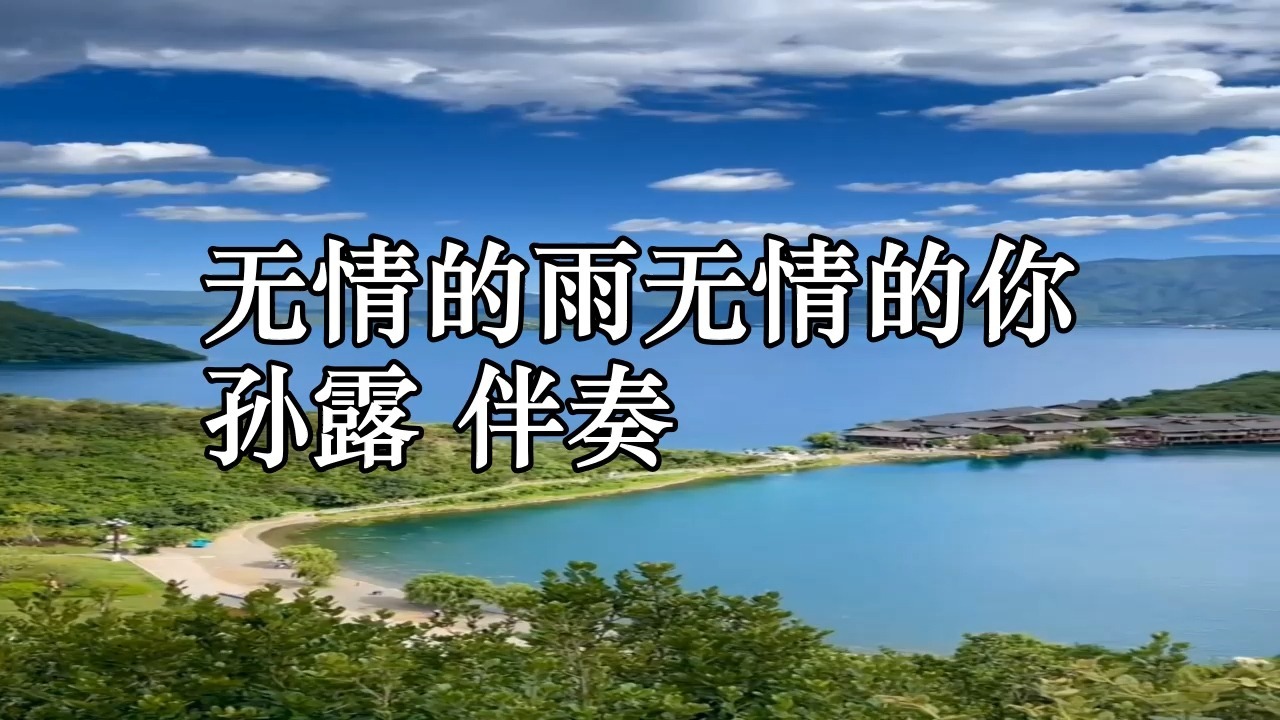 无情的雨无情的你 孙露 伴奏