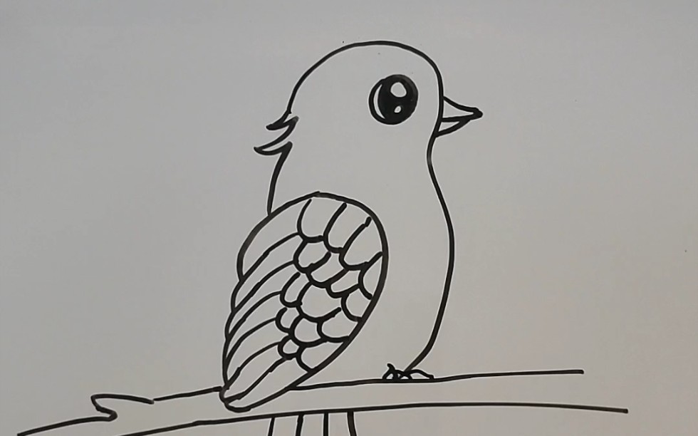 一只小鸟怎么画可爱图片