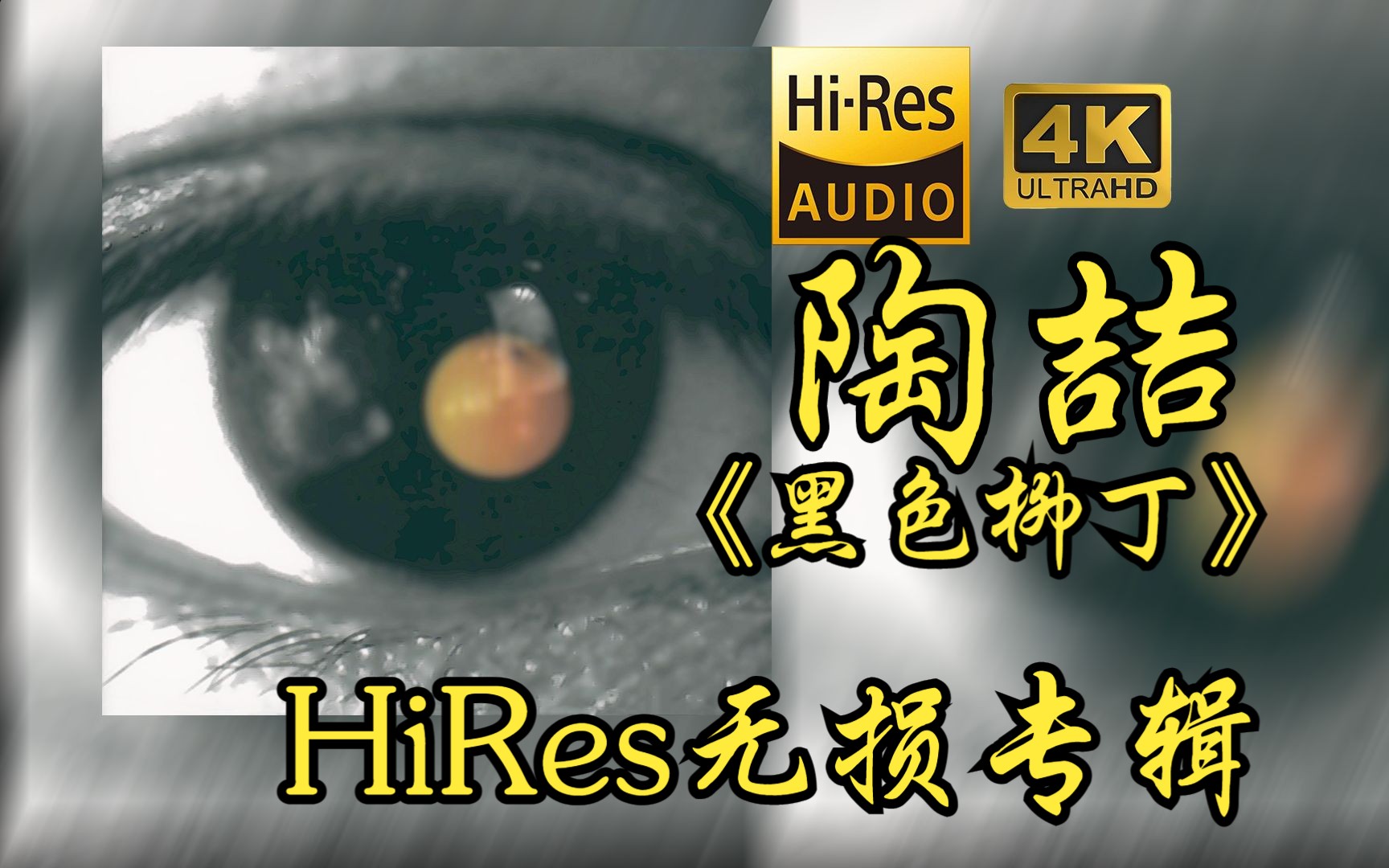 [图]陶喆David Tao《黑色柳丁》【HiRes 24bit/48khz】专辑无损音频4K60帧歌词版