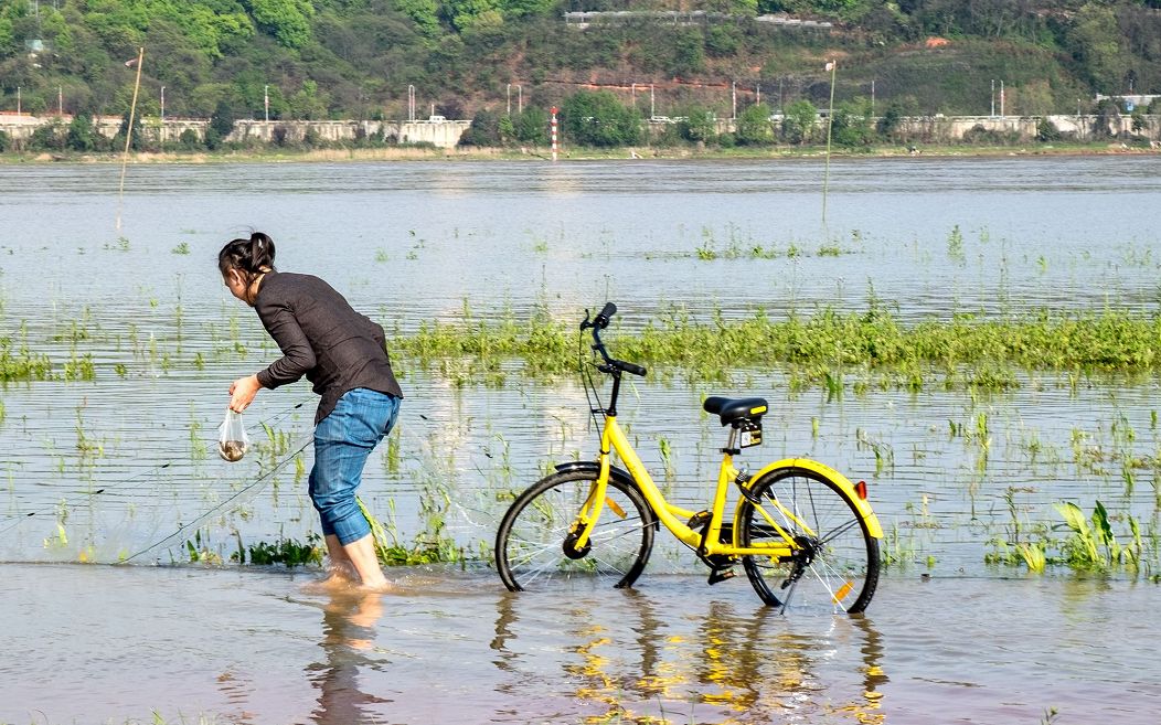 戴威回应破产重组传闻 ofo小黄车是不是不黄了?哔哩哔哩bilibili