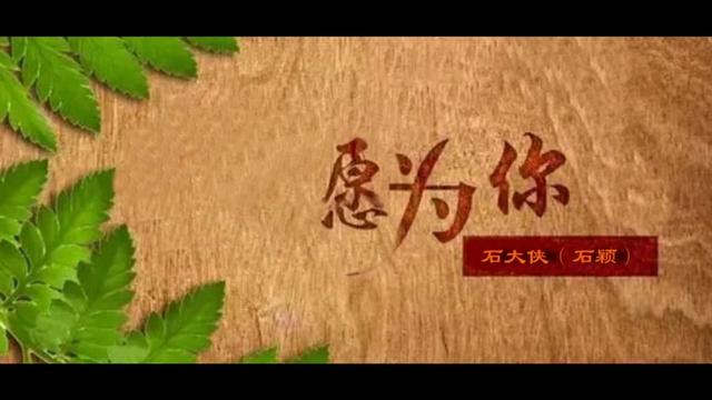 [图]倾一世温柔 暖一场相遇 茫茫人海中遇见就是缘分 《愿为你》石大侠（石颖）（MV）