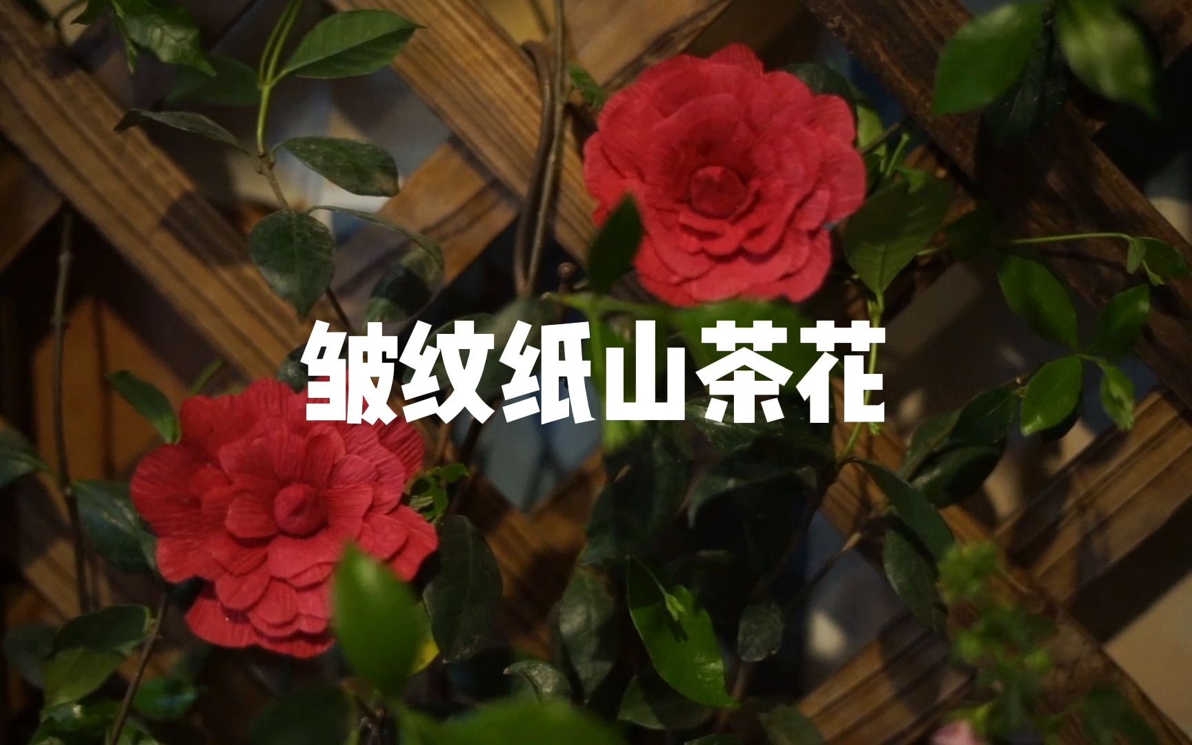 皱纹纸·山茶花