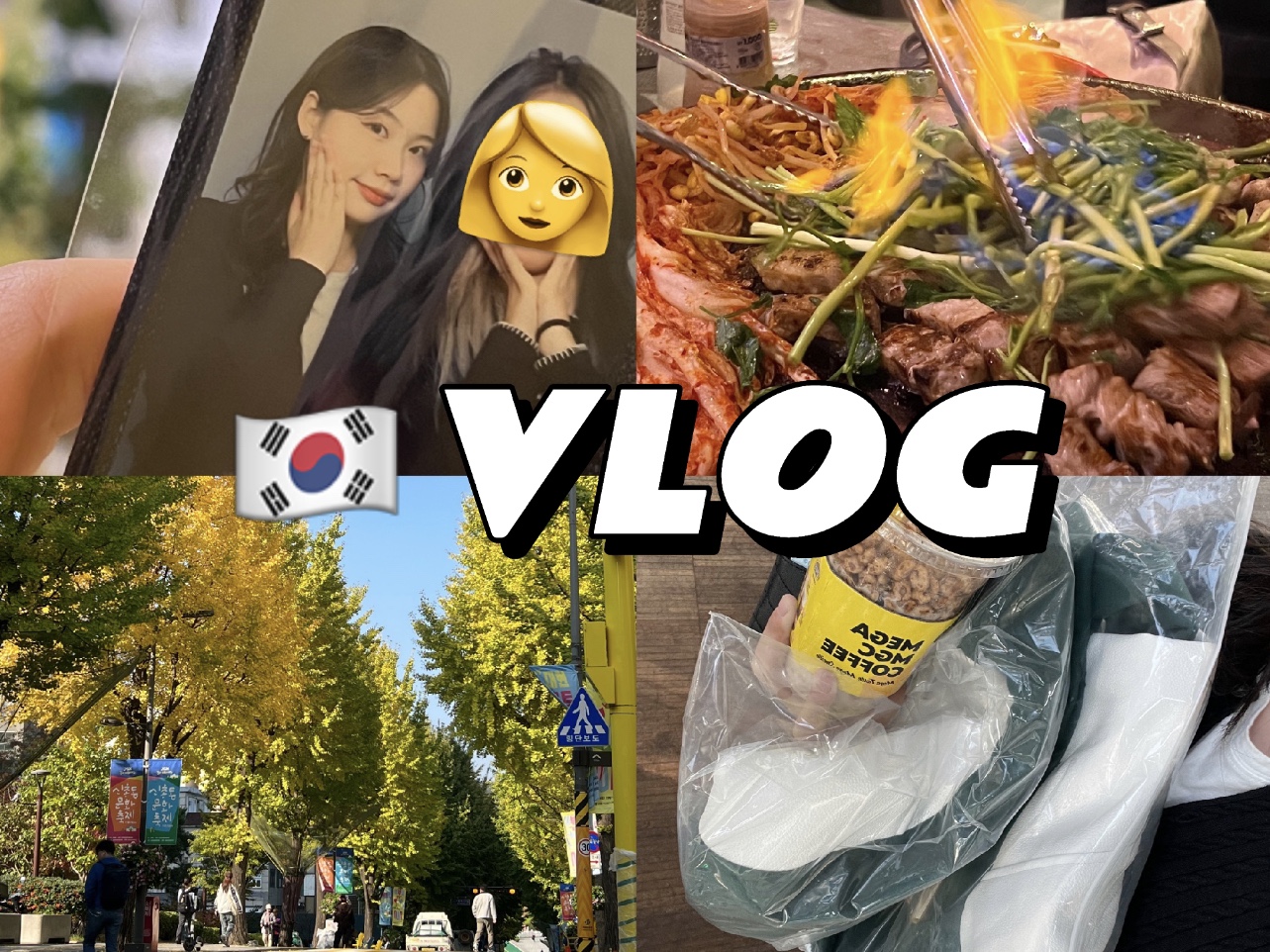 韩国梨花女大读研VLOG|在金秋时节的梨花女大图书馆里学习|时隔三个月没有学习状态|学会接纳状态不好的自己|首尔独居日记哔哩哔哩bilibili