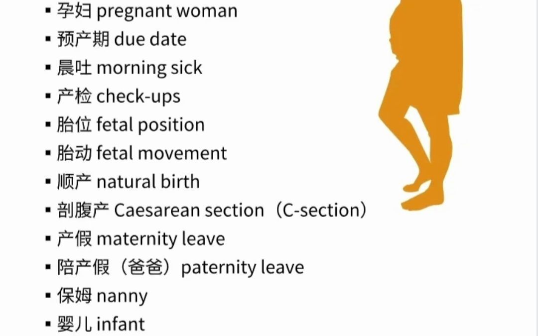 怀孕 相关英语表达哔哩哔哩bilibili