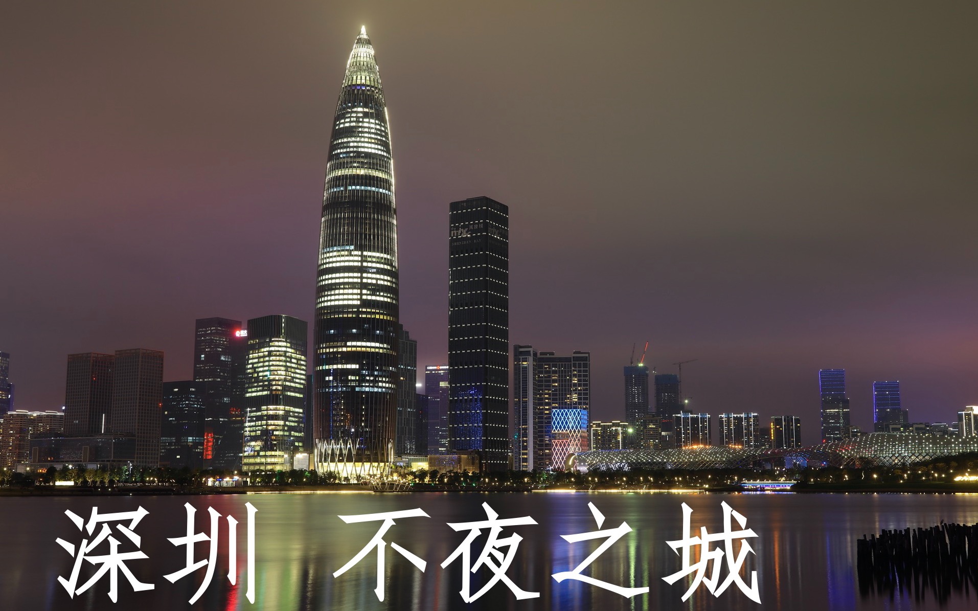 2019不夜之城_哔哩哔哩_bilibili