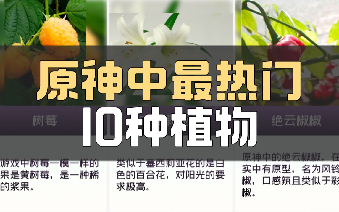 原神中最热门的 10 种植物