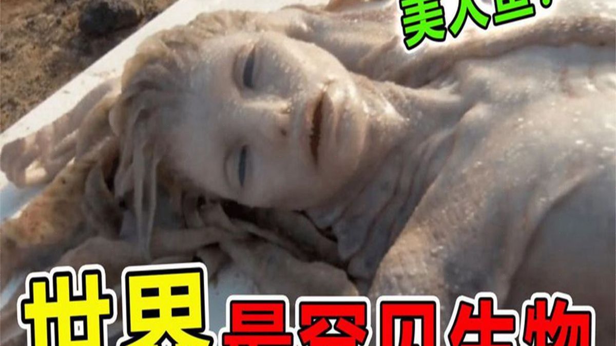 世界上"最真实"的10个美人鱼目击事件