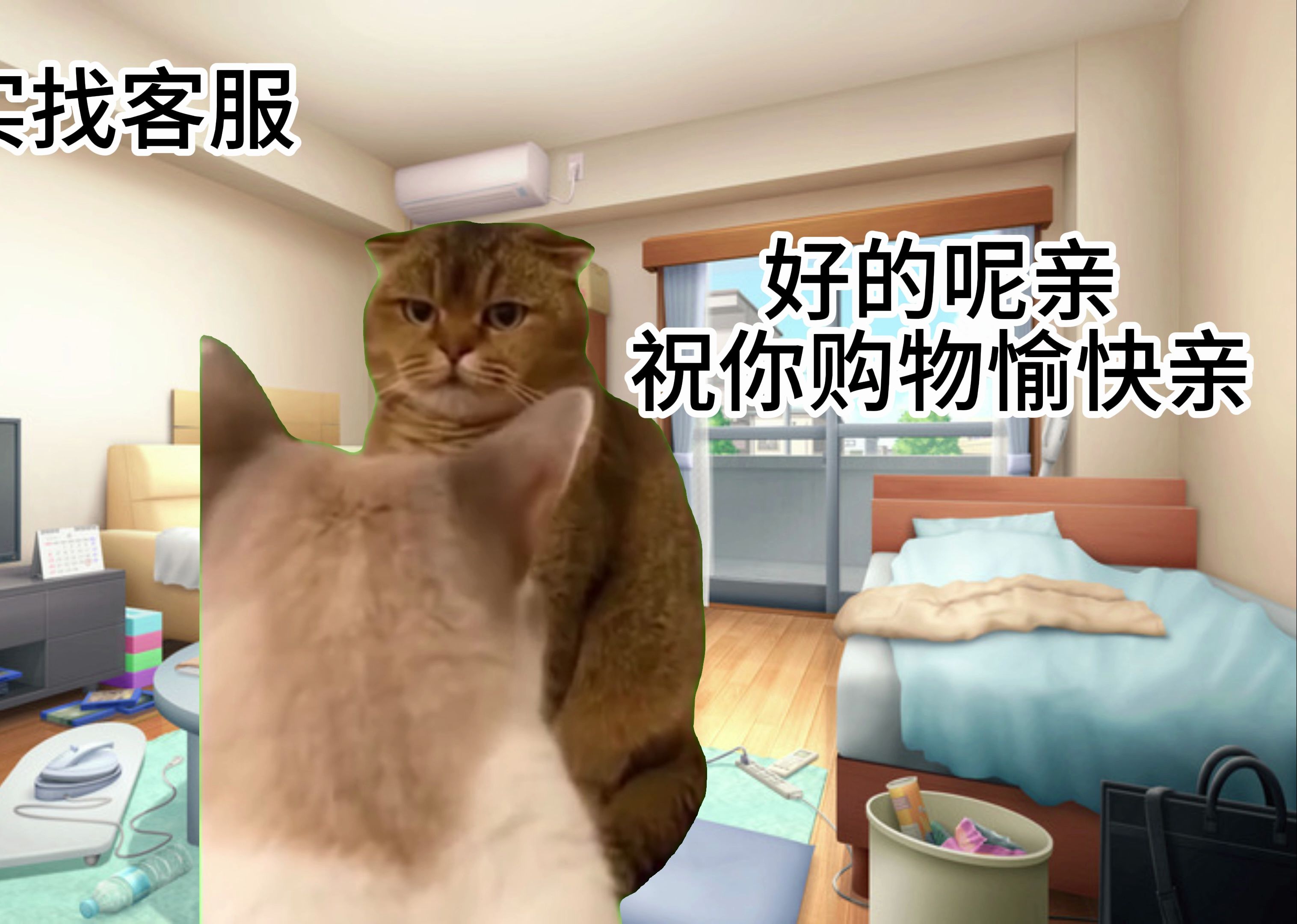 【猫meme动画】羞耻网购日常小故事哔哩哔哩bilibili