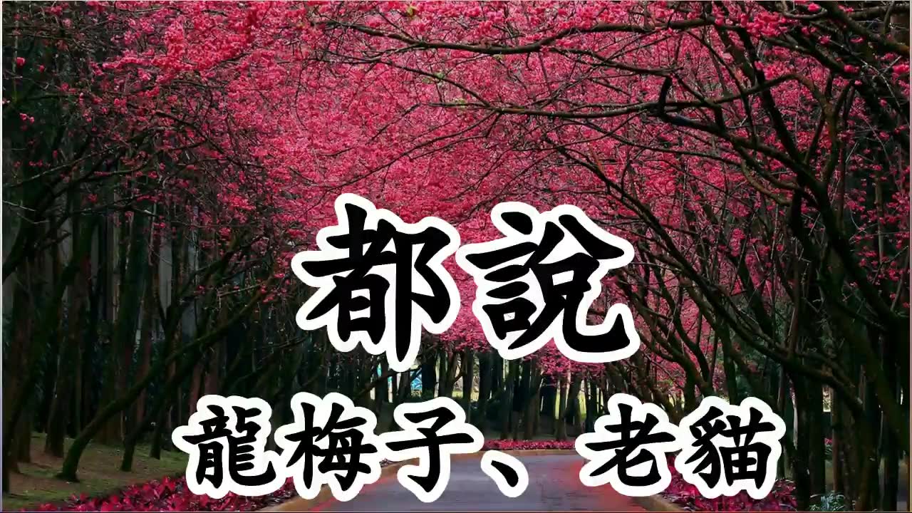 都说  龙梅子、老猫 【2019抖音热门歌曲】哔哩哔哩bilibili