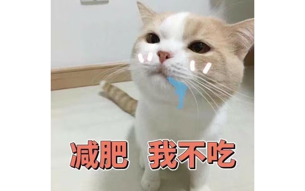 小猫咪的可爱表情哔哩哔哩bilibili