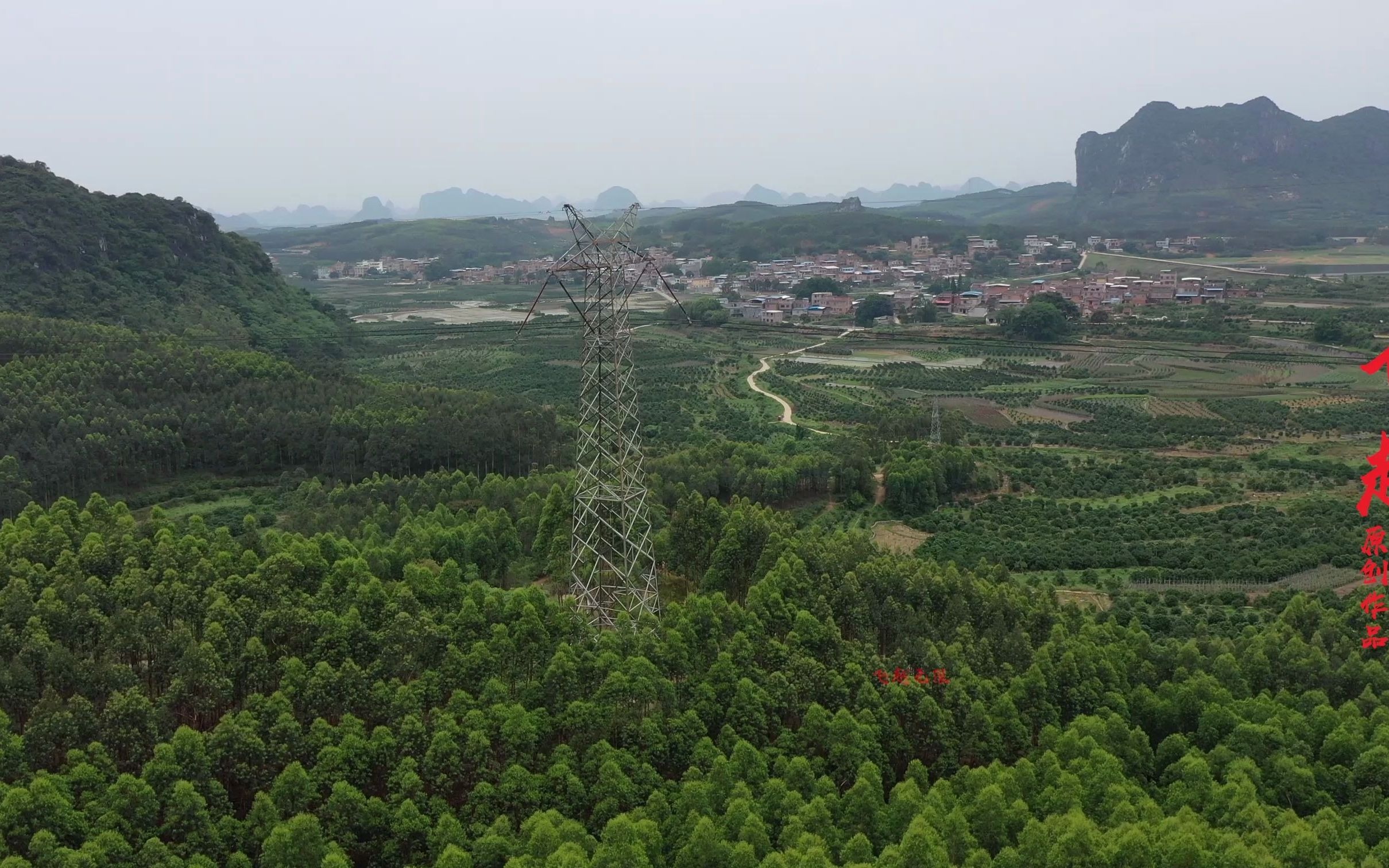 木棉倒地一枝花宝地图图片