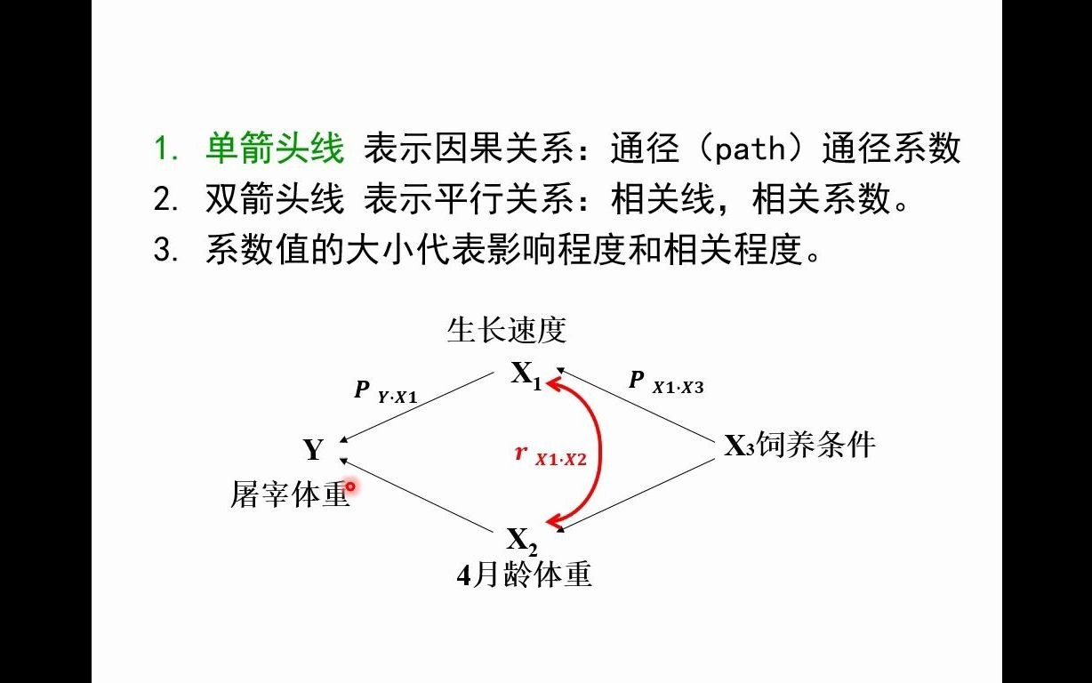 《动物数量遗传学》第4章3 通径分析定理哔哩哔哩bilibili