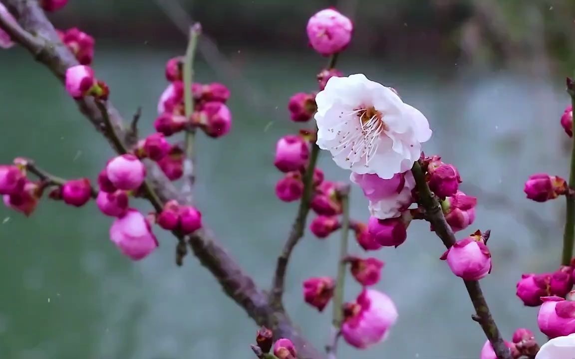 [图]李利威 股权节税互动训练营