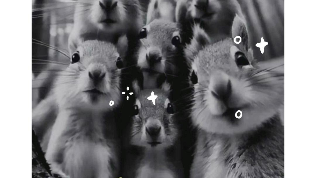 虚假人设,人面兽心.