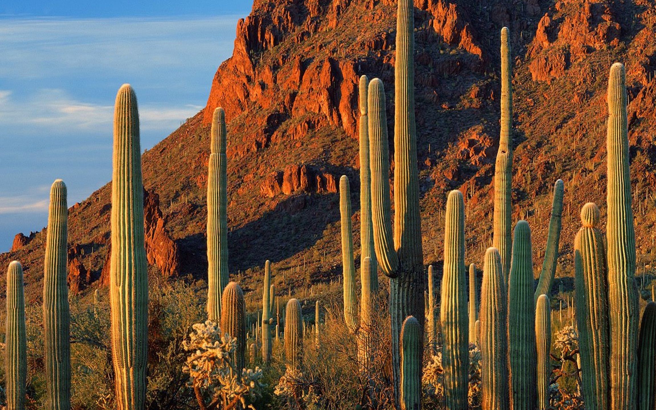 【yolo 世界小环游】第五十五集 凤凰城 菲尼克斯 美西自驾篇4_哔哩哔