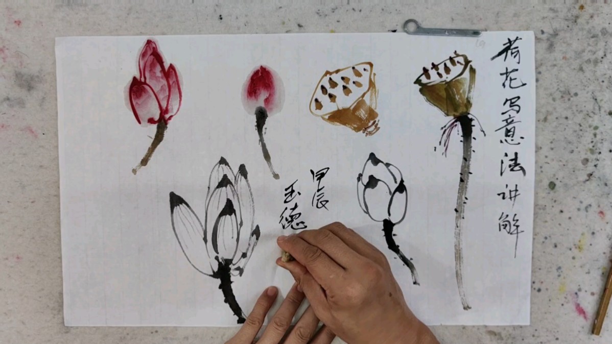 荷花小写意技法讲解