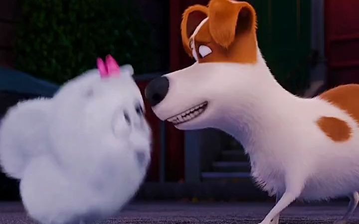 爱宠大机密兔老大强吻啾啾终于在妹子面前英雄了一回