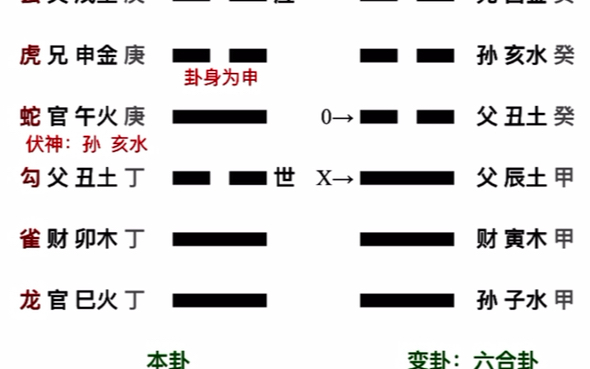 六爻测怀孕哔哩哔哩bilibili