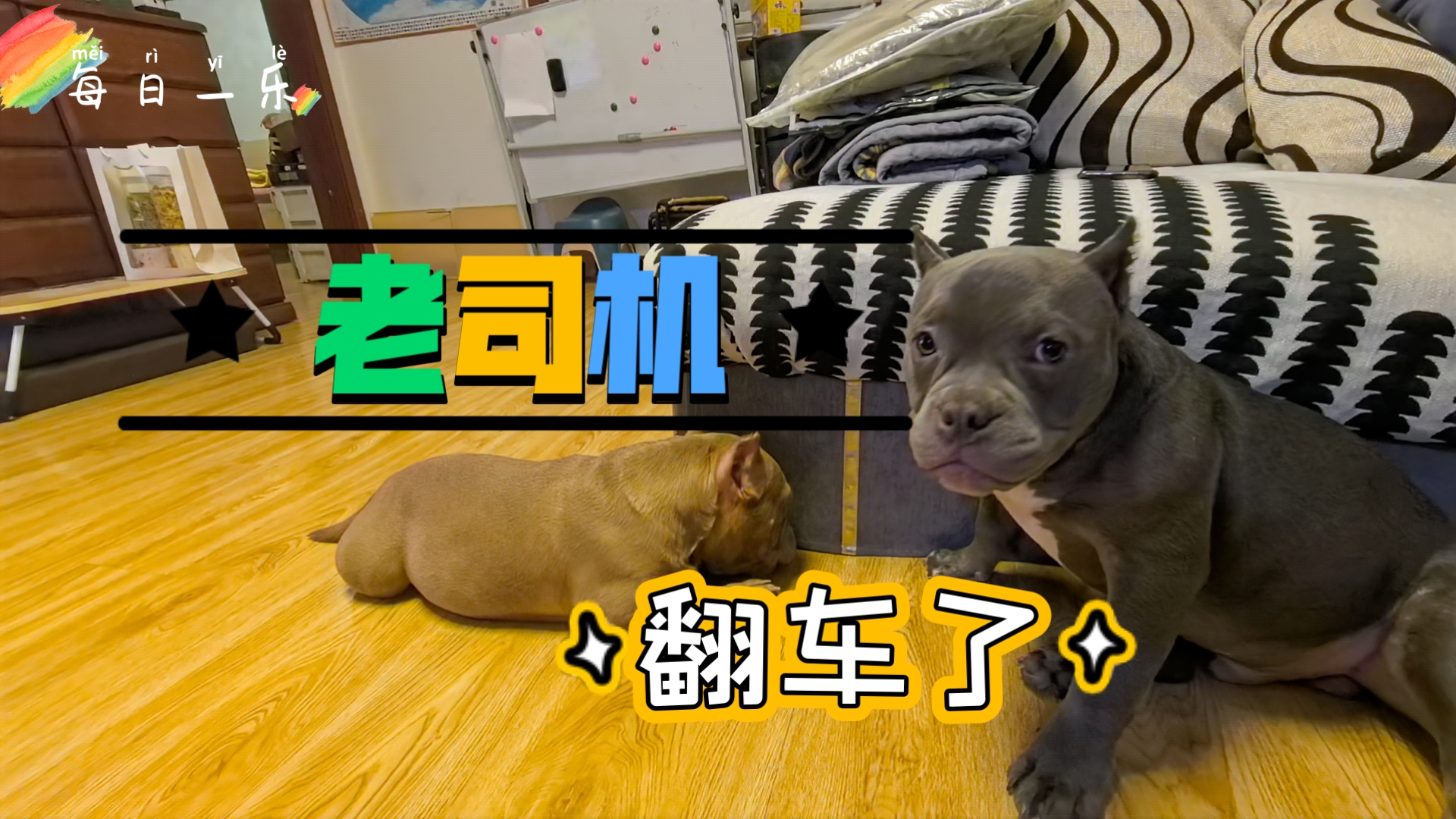 每日一乐!老司机翻车了!