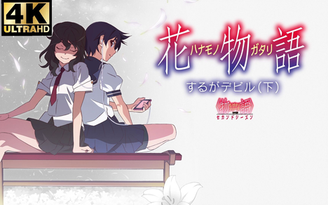 Touhou 恋萌萌的个人空间 哔哩哔哩移动版