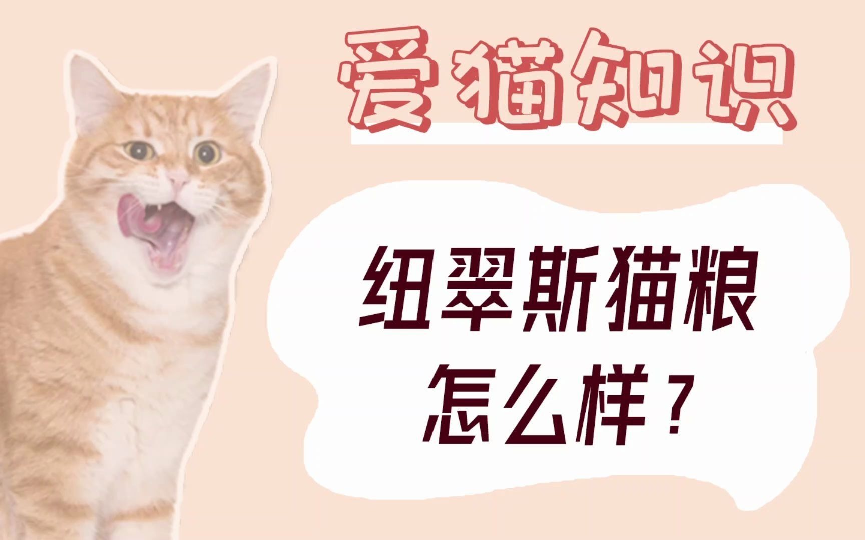 纽翠斯猫粮怎么样?哔哩哔哩bilibili