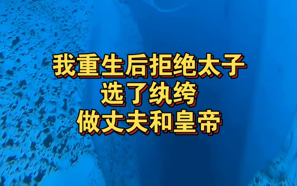 我重生后拒绝太子,选了纨绔做丈夫和皇帝《心尖纨绔》哔哩哔哩bilibili