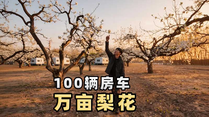 北京近郊梨花村藏着万亩花海,除了扎帐篷露营,还能体验各种房车-杨旭游记-杨旭游记-哔哩哔哩视频