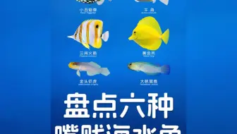 盘点六种嘴贱的海水鱼，你养哪一种？