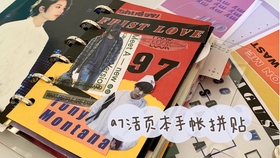 宝露露 追星手帐翻翻看 A6 Mini活页 手帐素材翻翻看 Bts 金硕珍 Nct Jeno Jaemin 新人入坑两个月贴了什么 哔哩哔哩