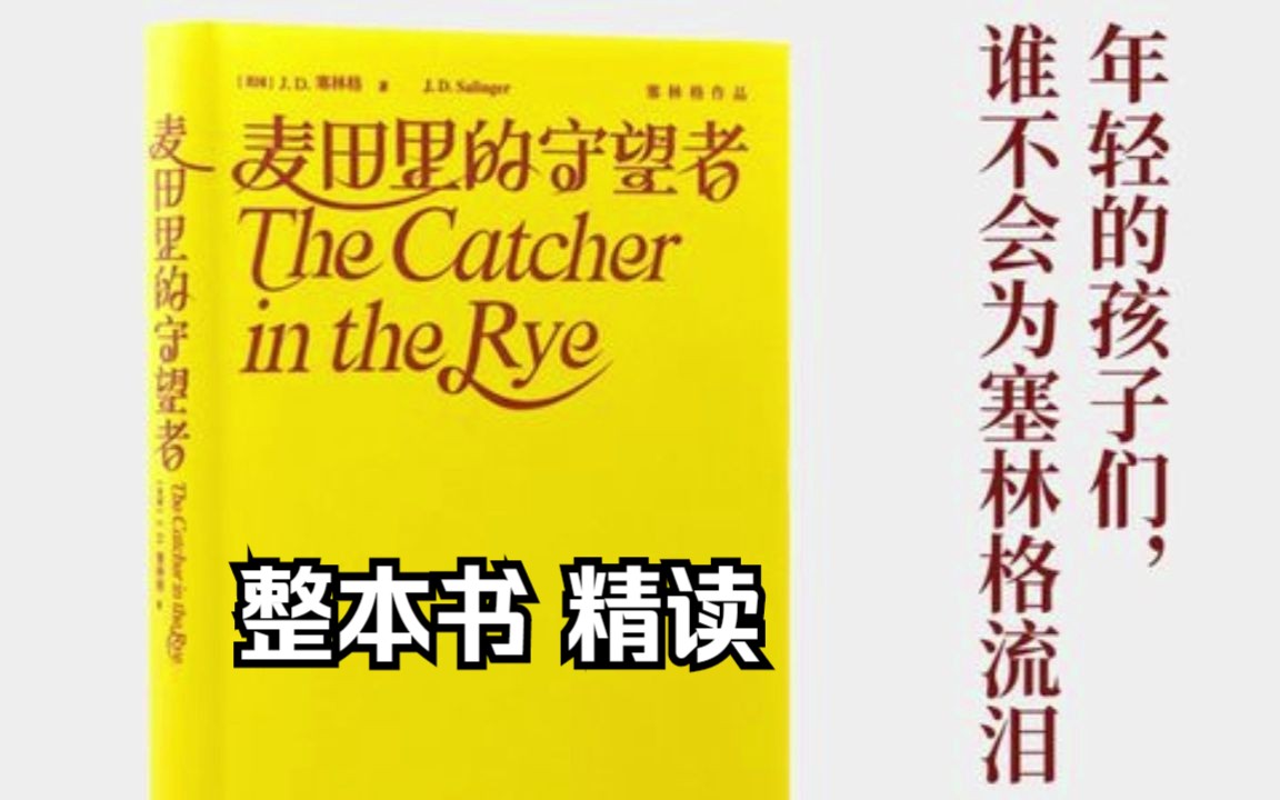 [图]名著导读 塞林格《麦田里的守望者》精读 整本书阅读 名家解读 有声书