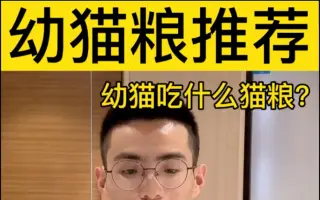 猫圣_ 搜索结果_哔哩哔哩_Bilibili